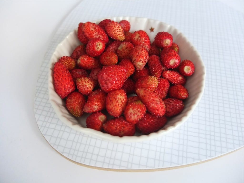 Fraises des bois